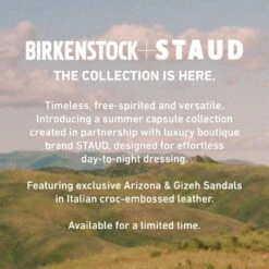 Birkenstock Gizeh Big Buckle Natural Leather Patent Black -Birkenstock 1023779 f look f