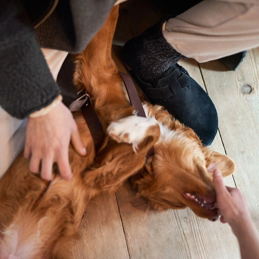 Birkenstock Boston Suede Leather 11 Birkenstock Boston Suede Leather - Image 11